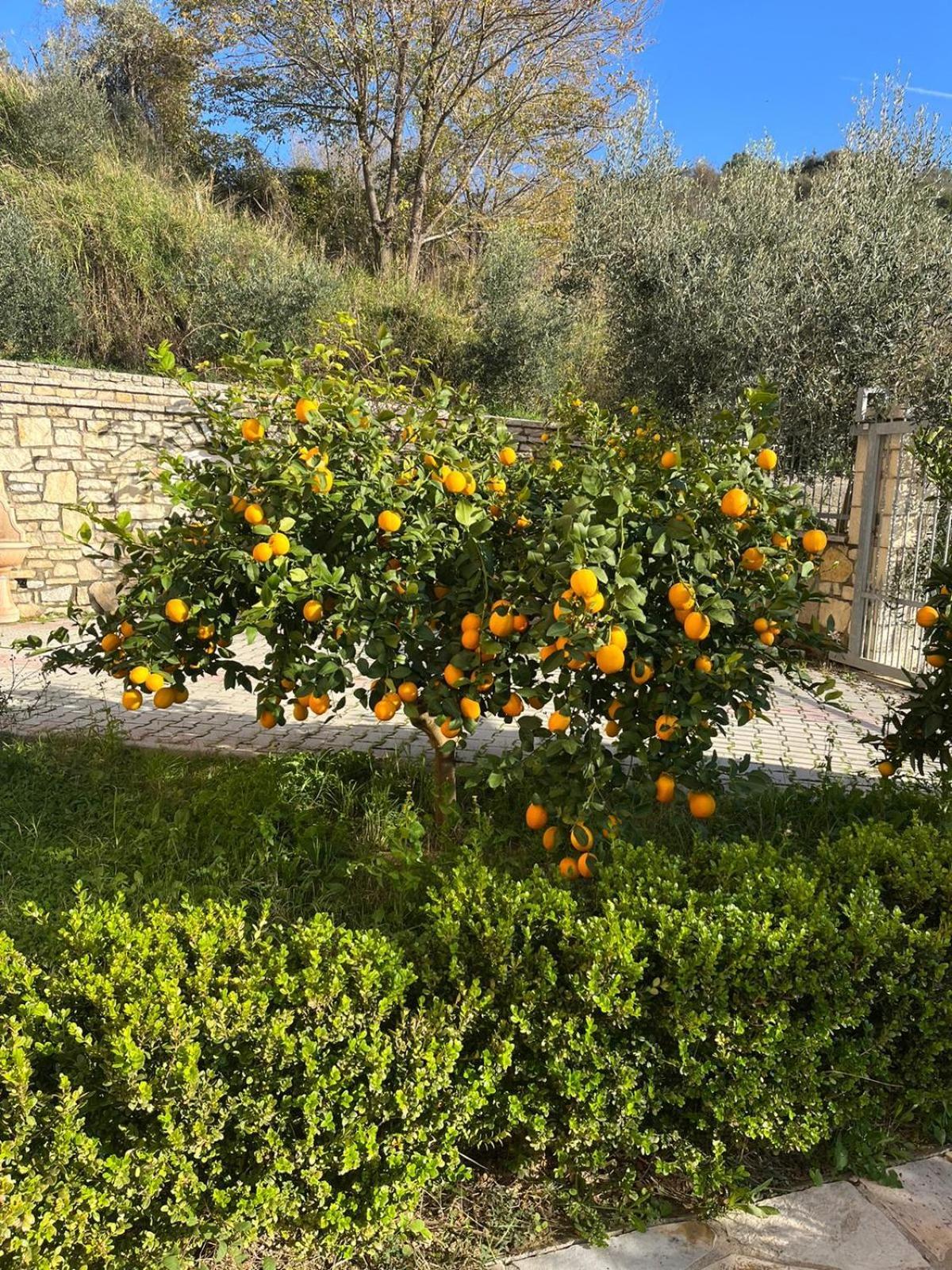 Villa Dei Limoni Škalngur Exterior foto
